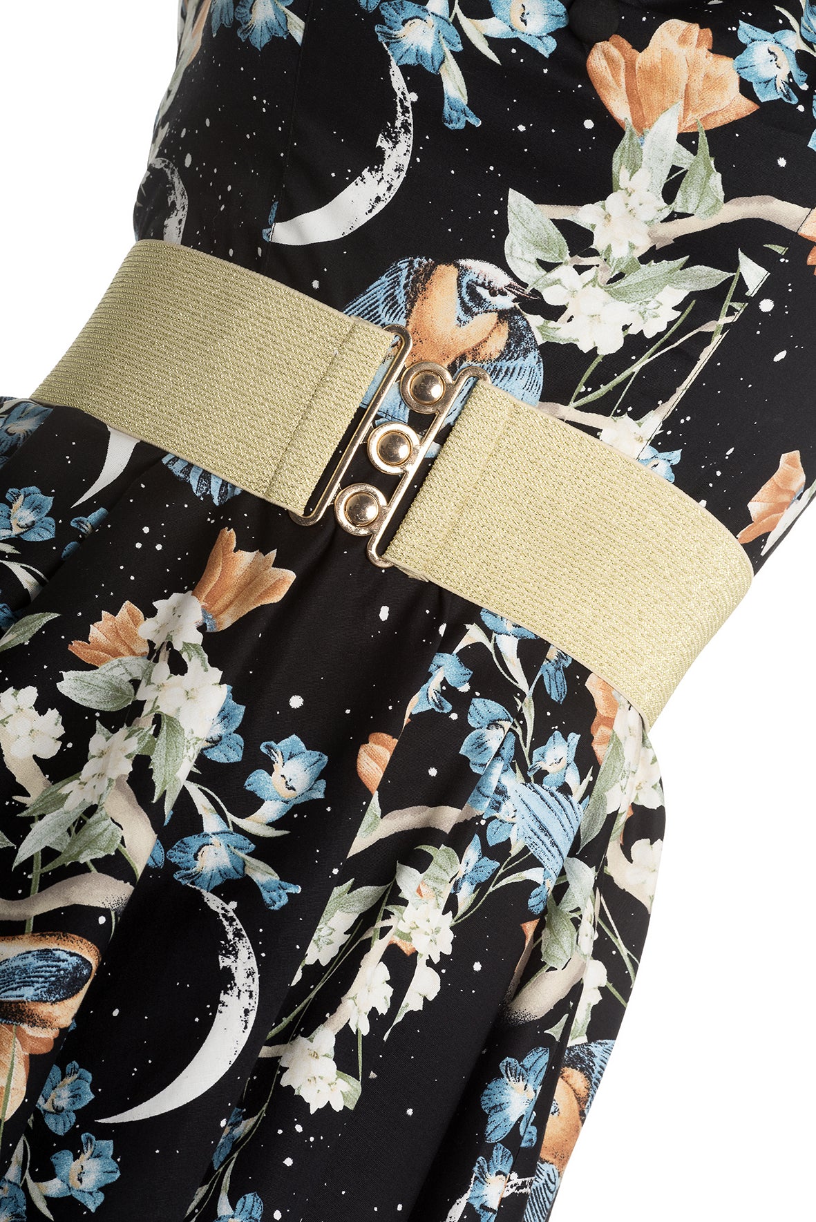 Stardust Belt