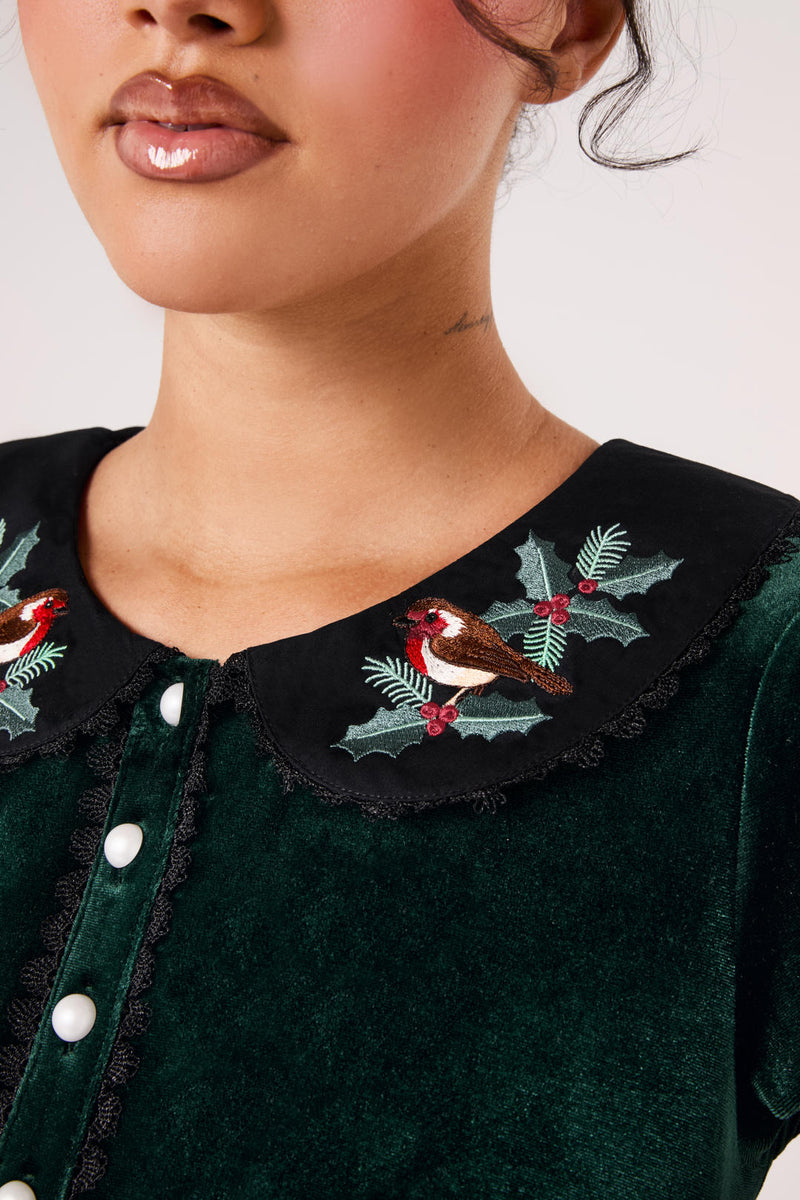 Robin Dress