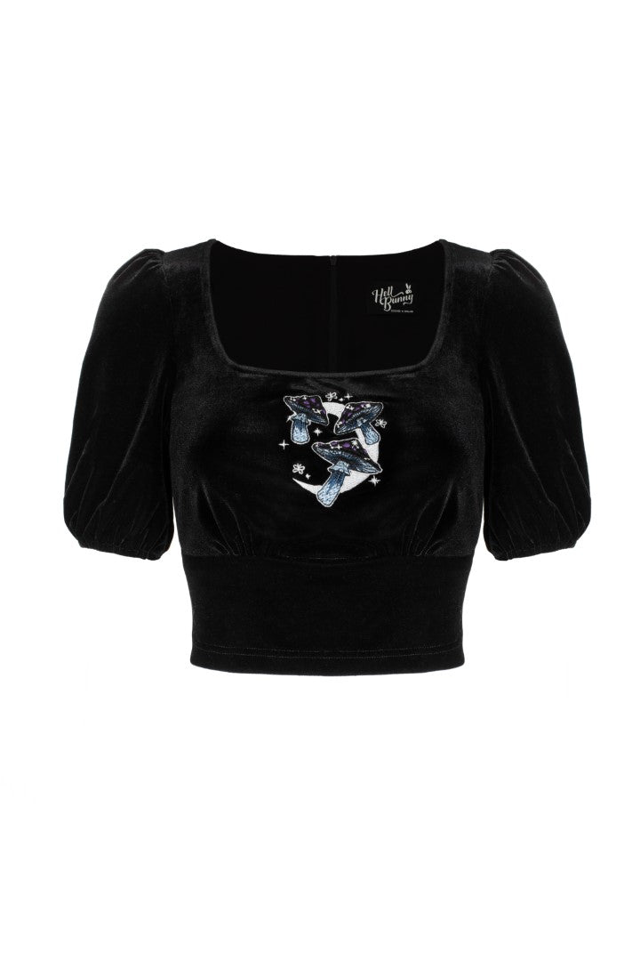 Mondbeschienener Gipfel