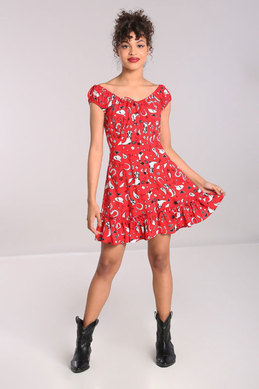Emmylou Mini Dress
